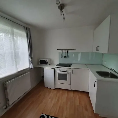 公寓 Haus Am Bach 阿尼夫